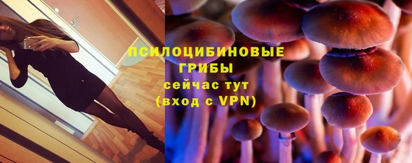мескалин Бугульма