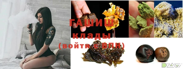 мяу мяу мука Бородино