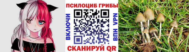 Купить где  Чёрмоз  Галлюциногенные грибы ЛСД 